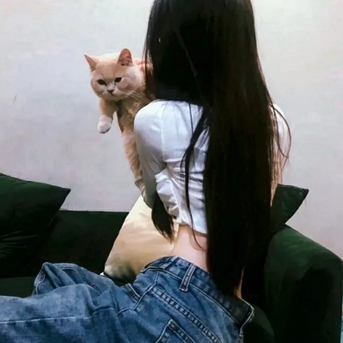 绿箭侠第二季